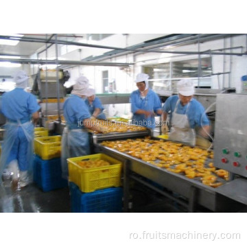 Linie de procesare automată a conservei/portocaliu/ananas/pere